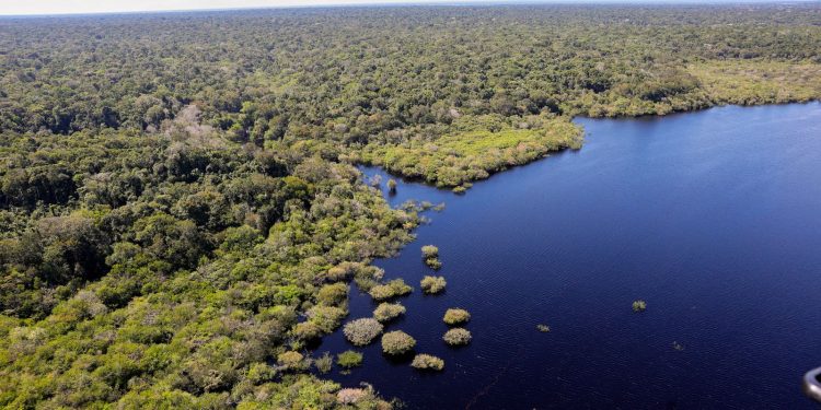 fundo-amazonia-bate-recorde-ao-destinar-mais-de-r$-1-bilhao-em-2025