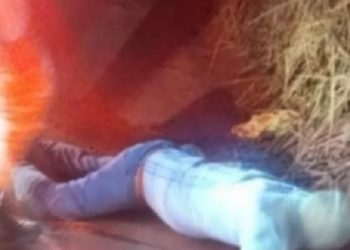 Casal é baleado em Campos