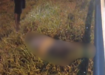 Campos: motociclista morre após colisão com caminhão na BR-101