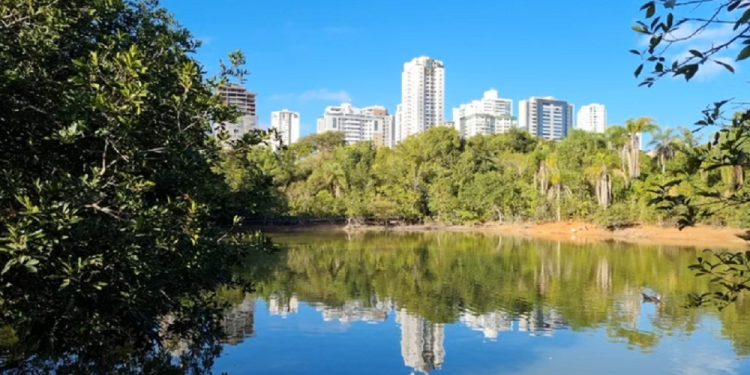 11,8-milhoes-de-brasileiros-vivem-em-areas-de-unidades-de-conservacao,-revela-censo-2022-–-jovem-pan