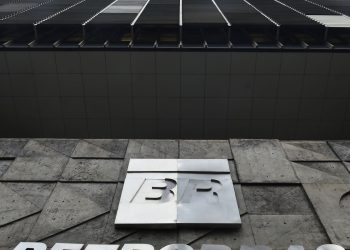 petrobras-tem-nova-diretora-de-transicao-energetica-e-sustentabilidade