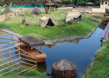 galinhas-d’angola-do-bioparque-no-rio-morreram-de-gripe-aviaria