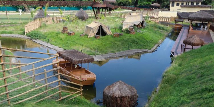 galinhas-d’angola-do-bioparque-no-rio-morreram-de-gripe-aviaria