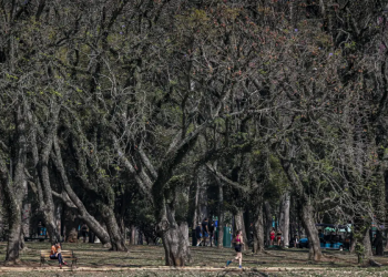 sao-paulo-encerrou-mes-de-agosto-como-um-dos-mais-secos-dos-ultimos-anos-–-jovem-pan