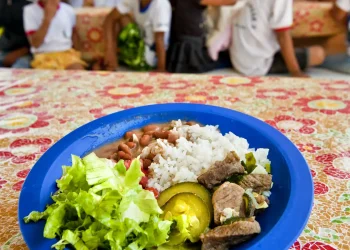 unesco-chama-atencao-para-qualidade-das-refeicoes-escolares-no-mundo