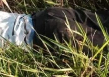 Homem é assassinado no distrito de Travessão em Campos