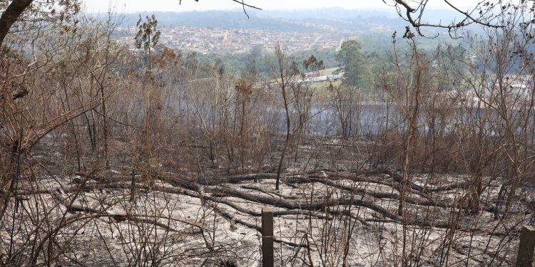 sp-segue-em-atencao-para-queimadas;-reservatorios-estao-em-alerta