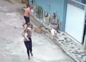 Mulher é atacada por cachorro em Campos