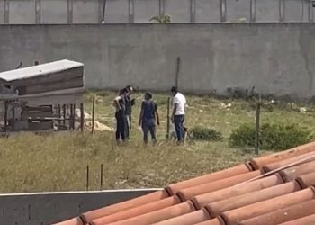 Pitbull que devorou galinhas em São João da Barra é recolhido pelo Núcleo de Controle de Zoonoses