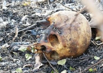 Moradores de fazenda encontram restos mortais de ser humano em São Francisco