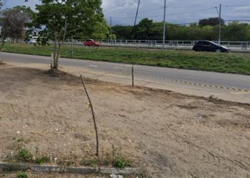 Passageiros são assaltados enquanto esperavam ônibus em Campos