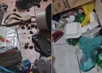 Morador de Campos é preso por furto de energia elétrica e maus-tratos a animais