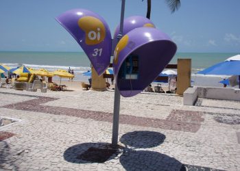 orelhoes-serao-extintos-no-brasil-ate-o-fim-de-2028-–-jovem-pan