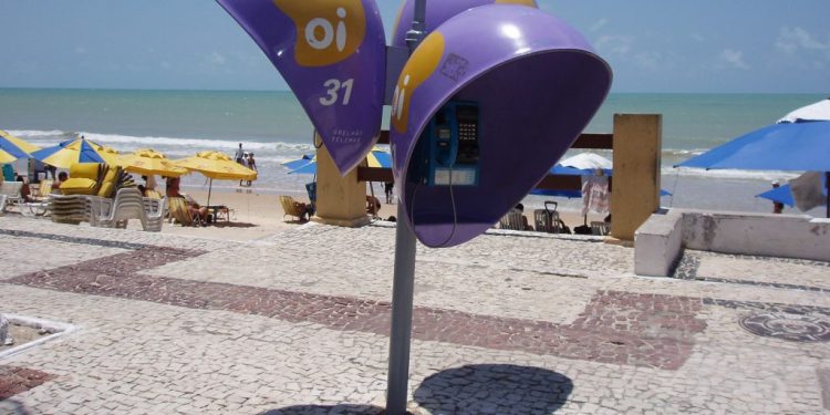 orelhoes-serao-extintos-no-brasil-ate-o-fim-de-2028-–-jovem-pan