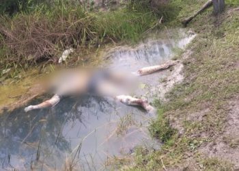 Mulher é torturada, tem a cabeça raspada, é morta e tem corpo jogado em açude em Campos