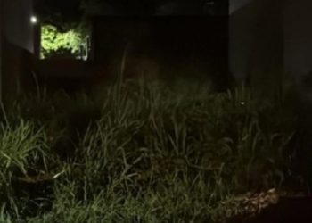 Morador de Campos encontra corpo em avançado estado de decomposição em terreno baldio