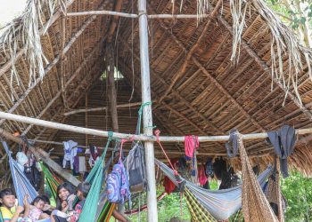 povo parakana,-do-para, reocupa territorio-apos-retirada-de-invasores 