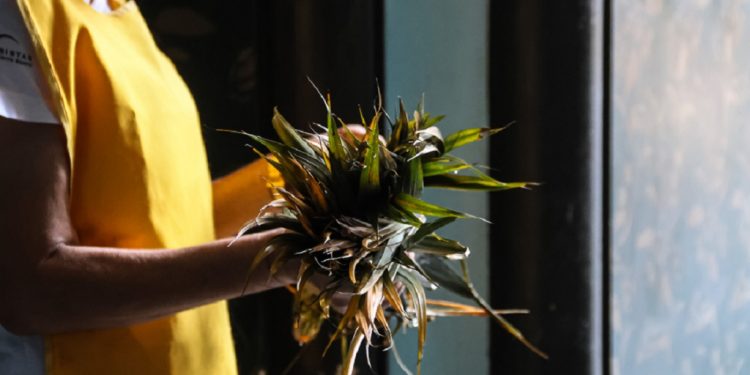 hoje-e-domingo-de-ramos?-data-marca-o-inicio-da-semana-santa-–-jovem-pan