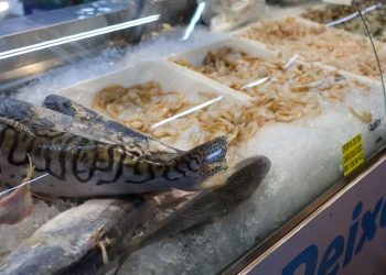 vigilancia-sanitaria-orienta-sobre-compra-de-pescado-na-semana-santa