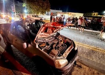Animal na pista provoca acidente e deixa motorista ferido na Campos-São João da Barra