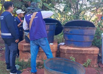 chikungunya:-ministro-classifica-como-critica-situacao-em-dourados