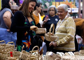 brasil-ja-tem-4,5-milhoes-de-empreendedores-da-economia-prateada