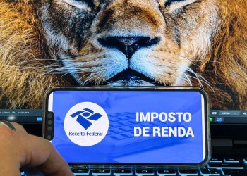 receita-abre-consulta-a-lote-da-malha-fina-do-imposto-de-renda