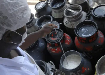 cmn-libera-linha-de-capital-de-giro-a-cooperativas-de-leite-no-pronaf