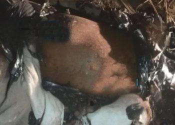 Corpo é encontrado dentro de saco de lixo em estrada vicinal de Campos