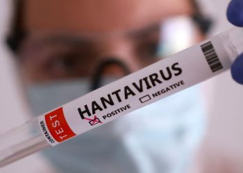 duas-pessoas-retiradas-de-navio-testam-positivo-para-o-hantavirus
