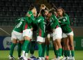 palmeiras-derrota-botafogo-e-se-aproxima-da-lideranca-no-br-feminino