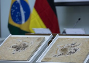 brasil-quer-recuperar-dinossauros-e-patrimonios-que-estao-em-14-paises