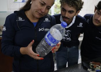 mais-de-93%-dos-peixes-vendidos-no-litoral-do-parana-tem-microplastico