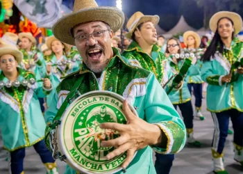 fenasamba-defende-financiamento-do-carnaval-como-politica-cultural