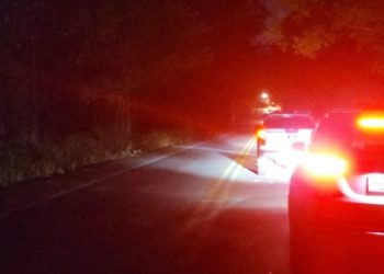 Motorista se esconde em matagal e escapa de tiros durante roubo de carga na Campos-Itaperuna
