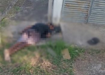 Ladrão se dá mal e morre ao tentar furtar fios em estação de energia de Campos