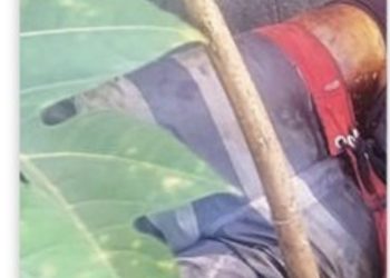 Crianças encontram restos mortais de homem durante brincadeira com pipa em Guarus