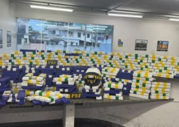 Motorista é preso em Campos após polícia encontrar quase 300 tabletes de maconha em cabine de caminhão