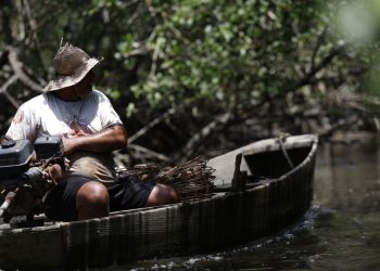 inss-paga-em-julho-r$-874-milhoes-a-149,5-mil-pescadores