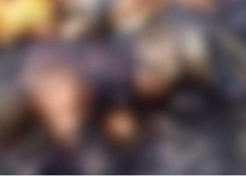 Corpo carbonizado é encontrado nas proximidades da antiga Usina Cambaíba, em Campos