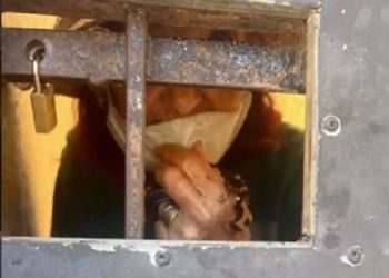 Usuário de drogas é preso por manter a mãe em cárcere privado em Campos
