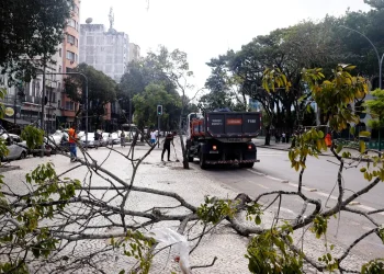 rio-tem-previsao-ventos-moderados-a-fortes-nesta-quarta-feira