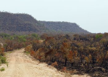 mapbiomas:-menor-vegetacao-nativa-expoe-mais-o-pais-ao-el-nino