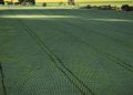 senado-aprova-plano-para-fabricacao-de-fertilizantes-no-brasil
