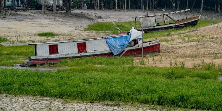 cop17-comeca-na-mongolia-com-foco-em-seca,-terra-e-financiamento