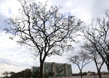grande-parte-do-pais-tem-temperaturas-elevadas-nesta-terca-feira