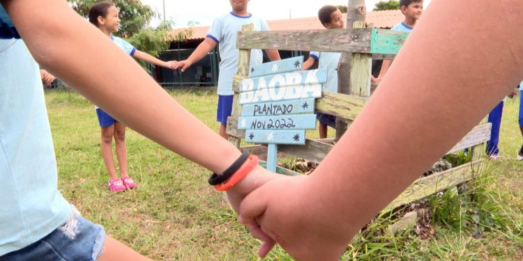 caminhos-da-reportagem-aborda-construcao-da-identidade-parda