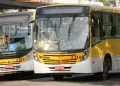 Prefeitura de Campos vai disponibilizar ônibus de graça no dia da eleição