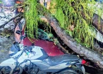 Árvore cai sobre carro estacionado em frente a hospital na Pelinca