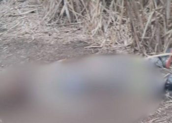 Polícia investiga corpo encontrado em área de canavial em São João da Barra